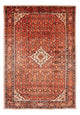 Kolyai Mattan 314x216cm - Persisk matta