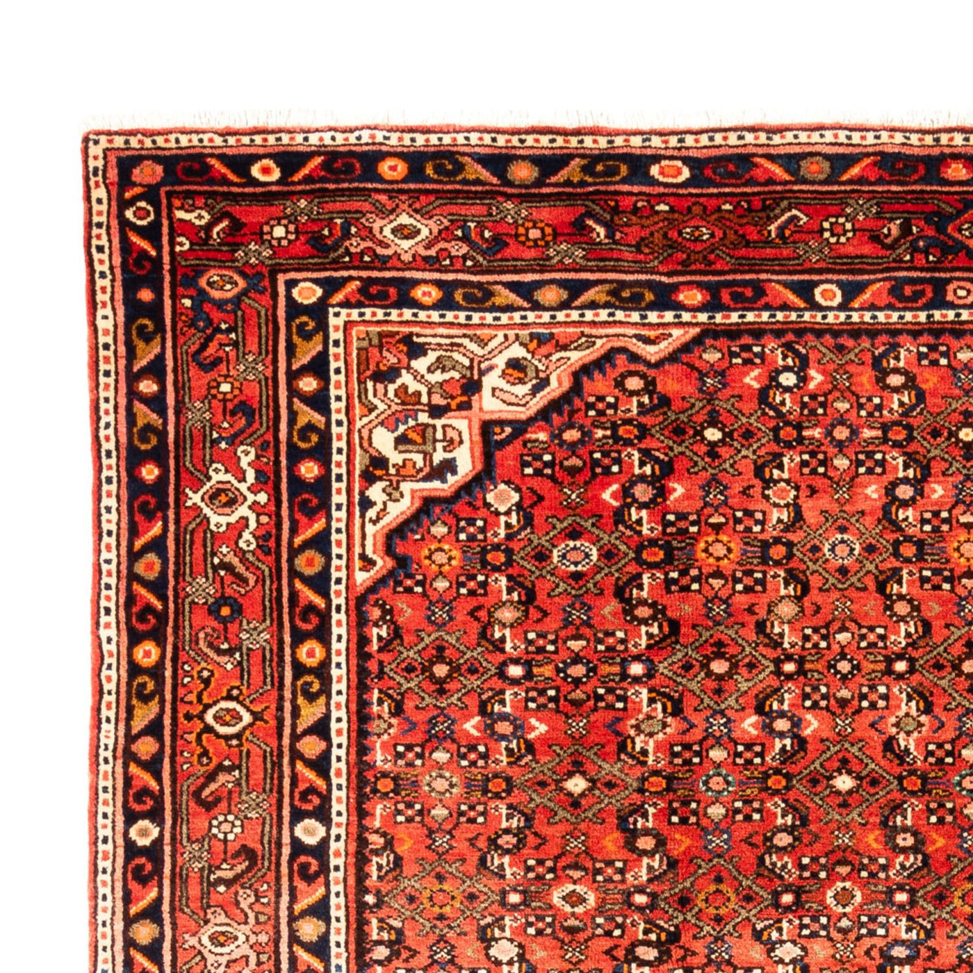 Kolyai Mattan 314x216cm - Persisk matta