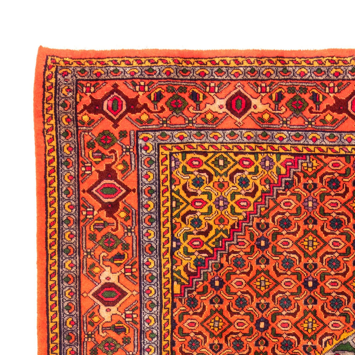 Ardabil Mattan 288x200cm - Persisk matta