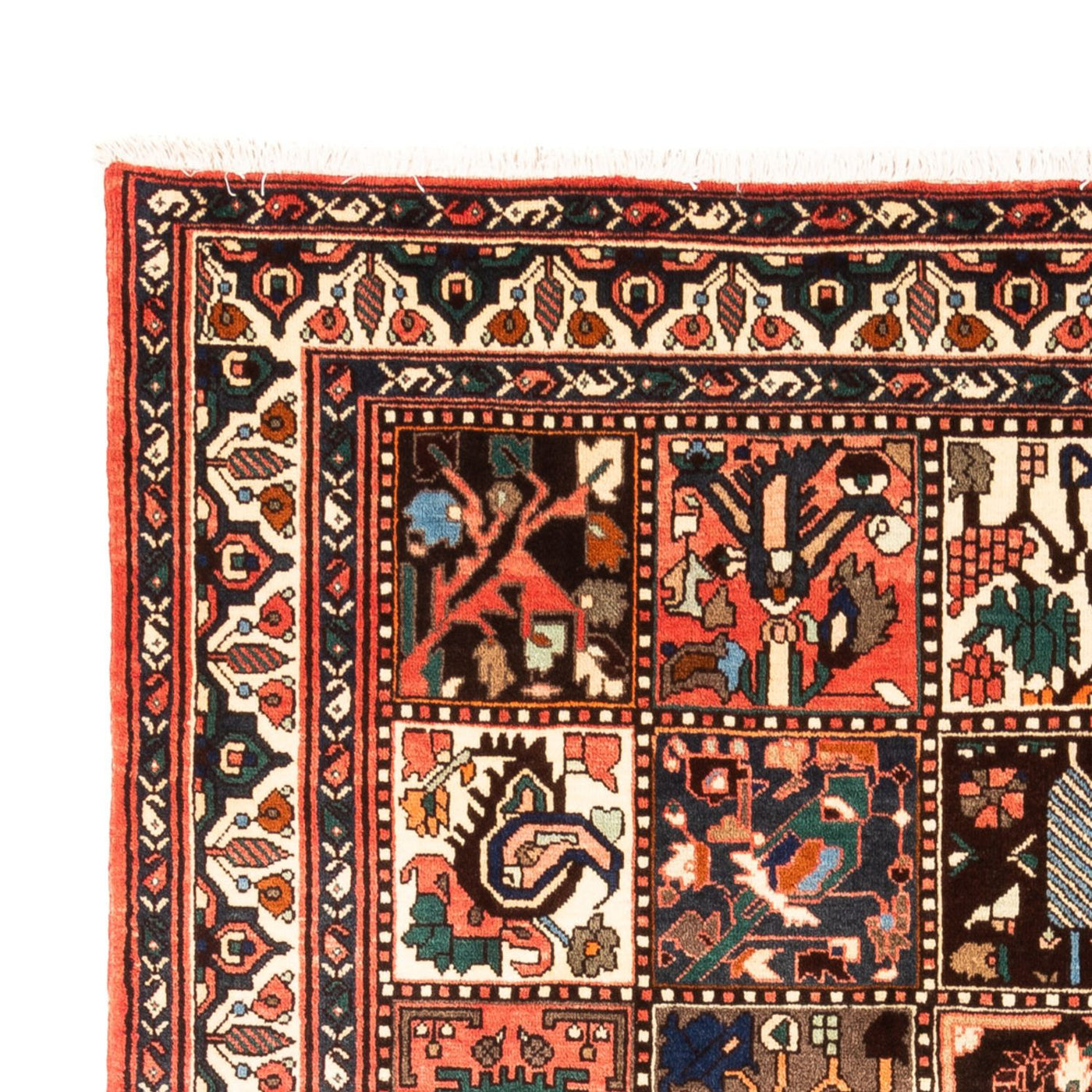 Bakhtiari Mattan 300x205cm - Persisk matta