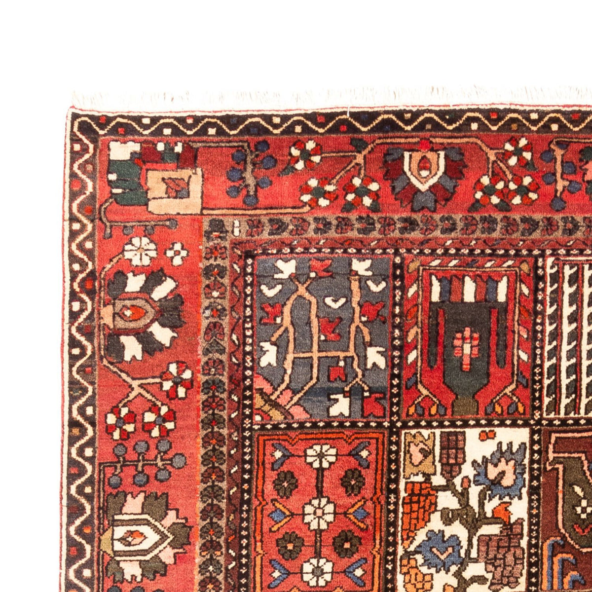 Persisk matta - Nomadic - 314 x 207 cm - flerfärgad