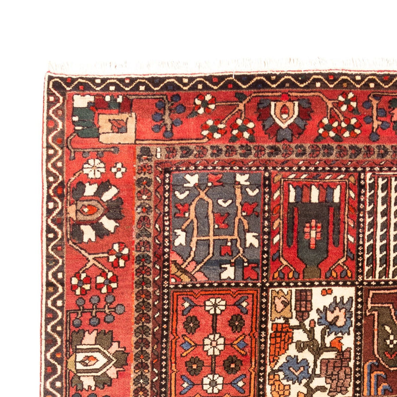 Persisk matta - Nomadic - 314 x 207 cm - flerfärgad