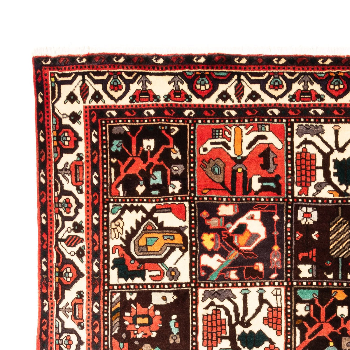 Persisk matta - Nomadic - 278 x 224 cm - flerfärgad