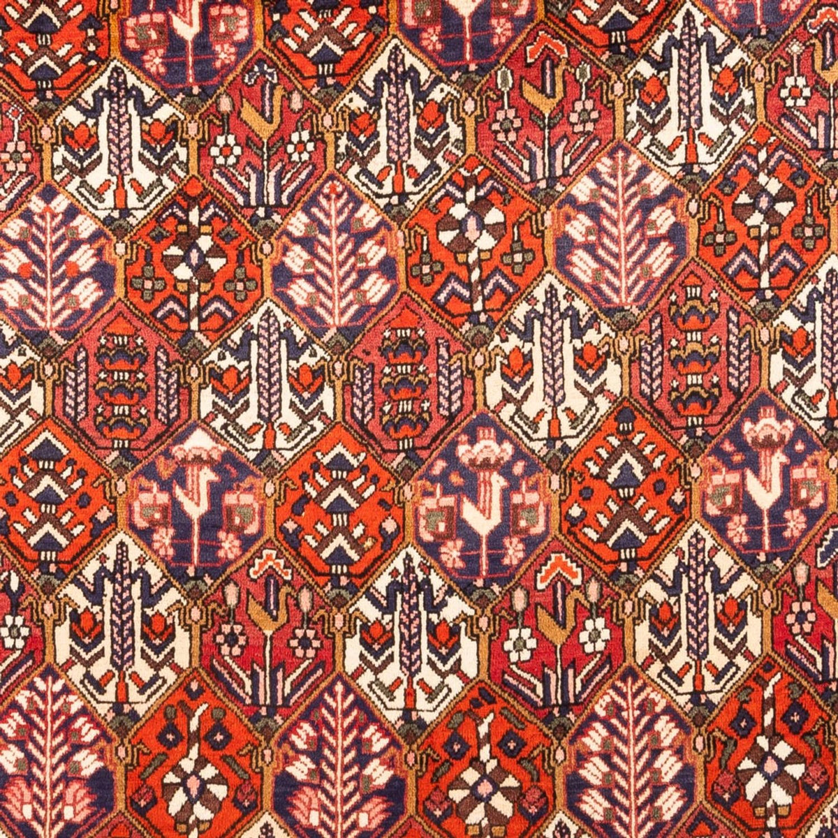 Persisk matta - Nomadic - 310 x 210 cm - röd