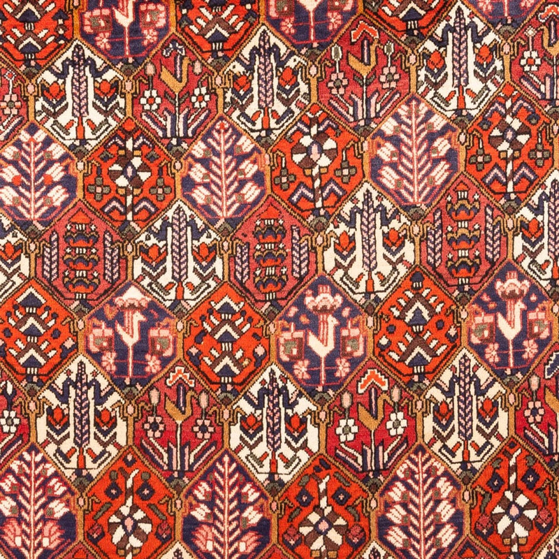 Persisk matta - Nomadic - 310 x 210 cm - röd