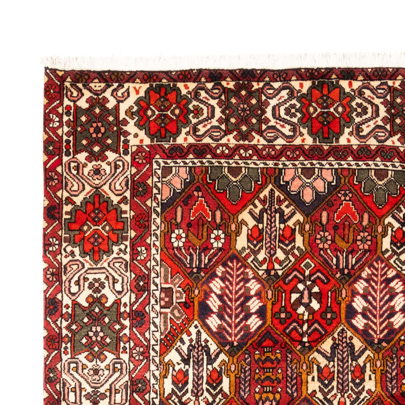 Bakhtiari Mattan 310x210cm - Persisk matta