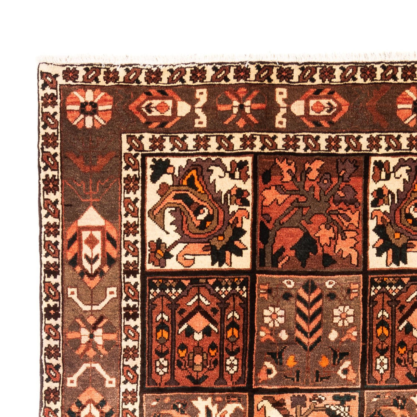Bakhtiari Mattan 307x206cm - Persisk matta