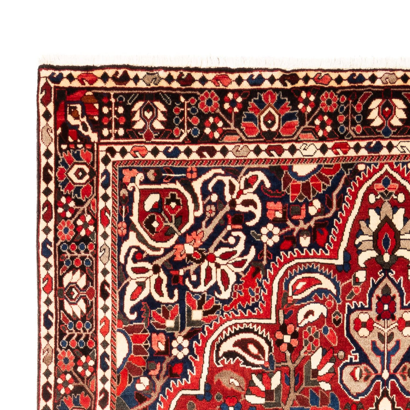 Bakhtiari Mattan 315x207cm - Persisk matta