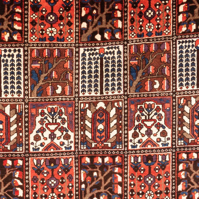 Persisk matta - Nomadic - 317 x 210 cm - flerfärgad