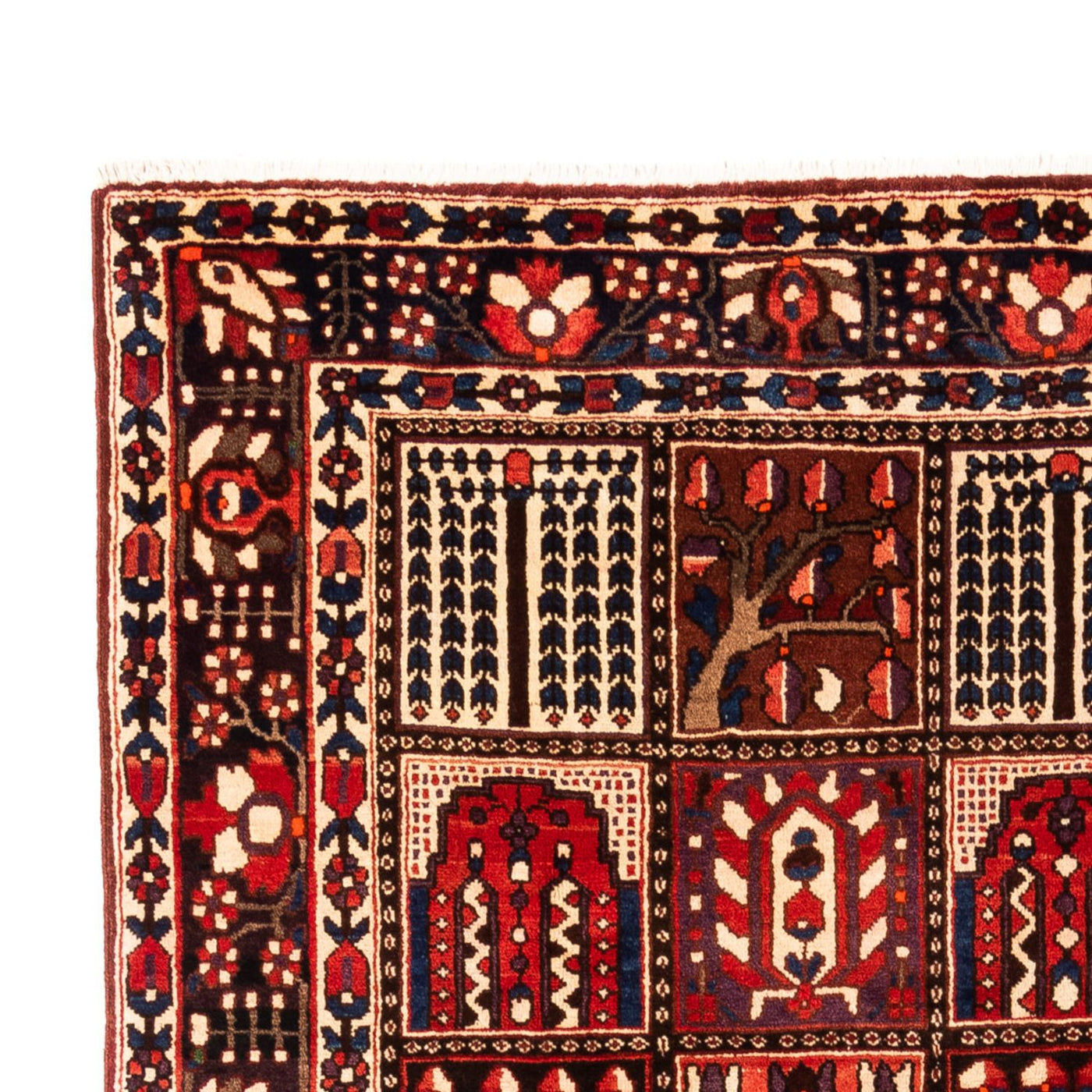 Bakhtiari Mattan 317x210cm - Persisk matta