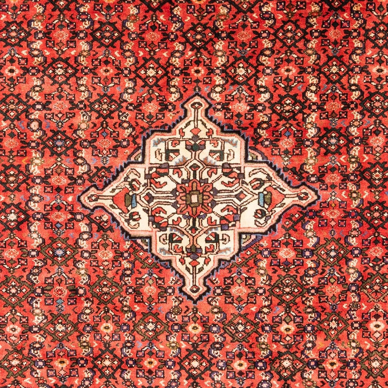 Persisk matta - Nomadic - Kungliga - 285 x 204 cm - flerfärgad