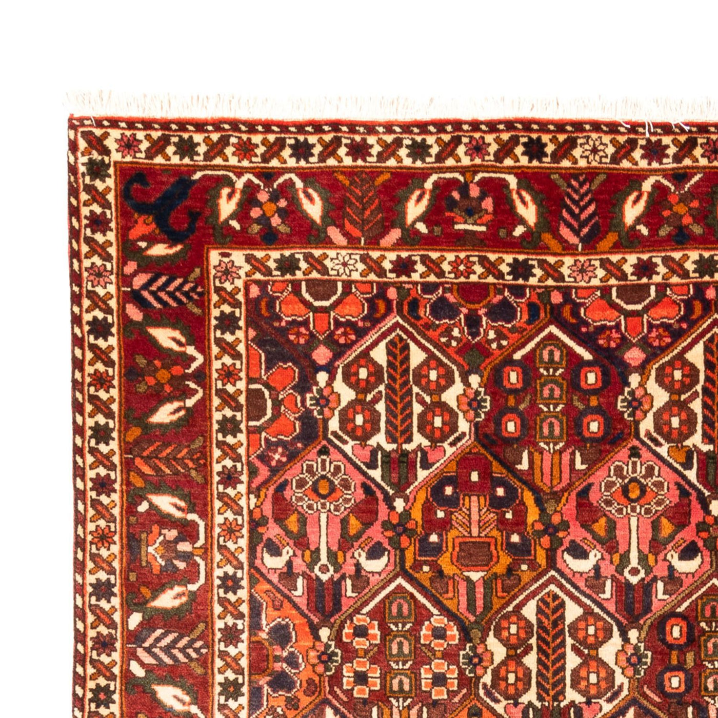 Bakhtiari Mattan 308x210cm - Persisk matta