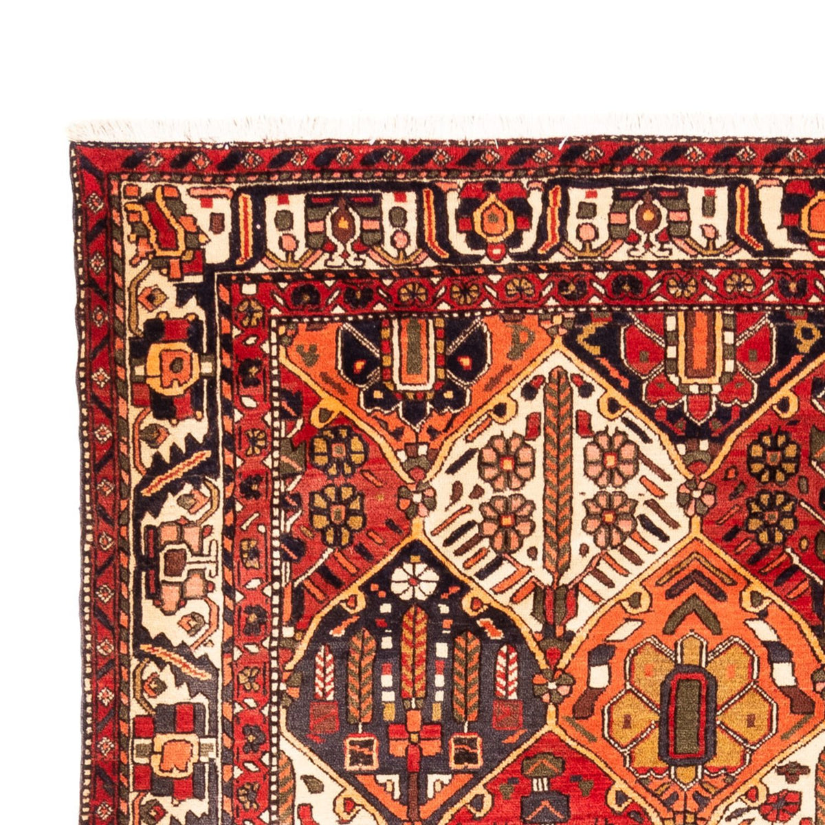 Persisk matta - Nomadic - 303 x 218 cm - flerfärgad