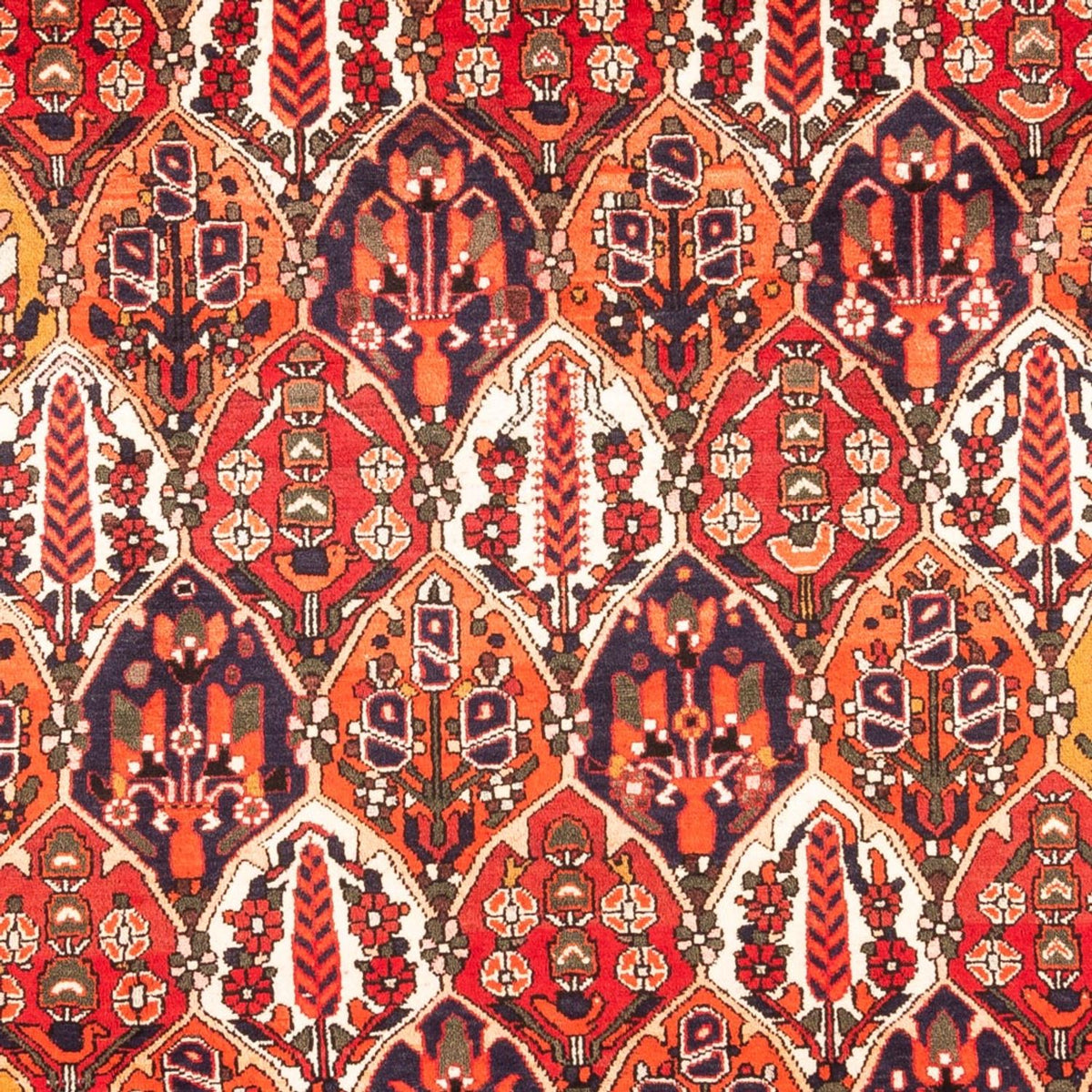 Persisk matta - Nomadic - 300 x 220 cm - flerfärgad