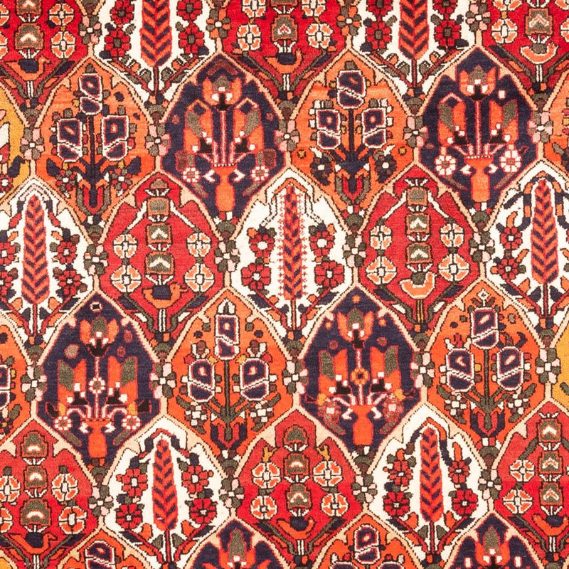 Persisk matta - Nomadic - 300 x 220 cm - flerfärgad