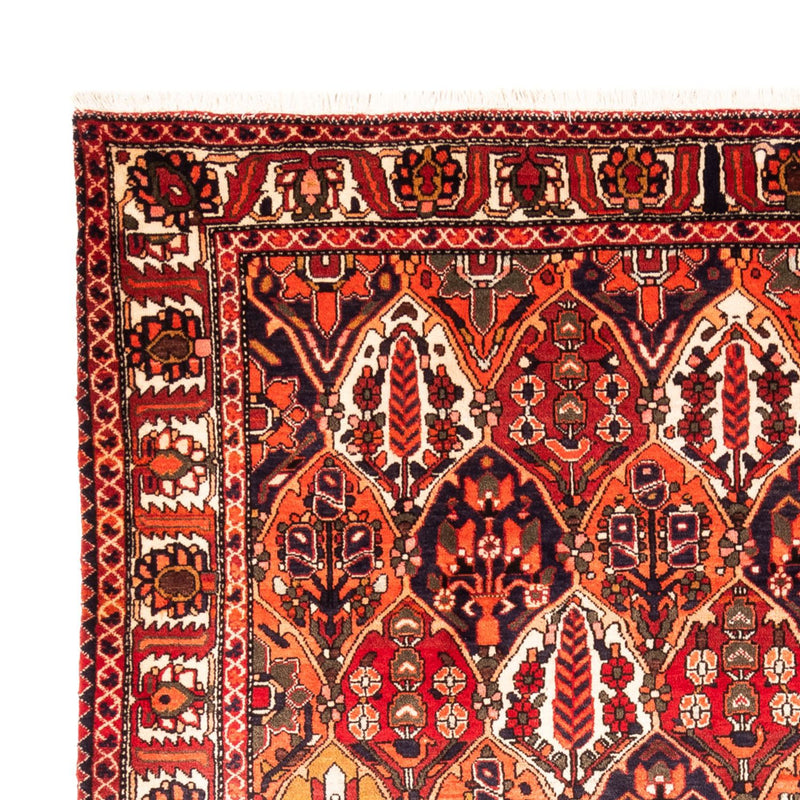 Persisk matta - Nomadic - 300 x 220 cm - flerfärgad