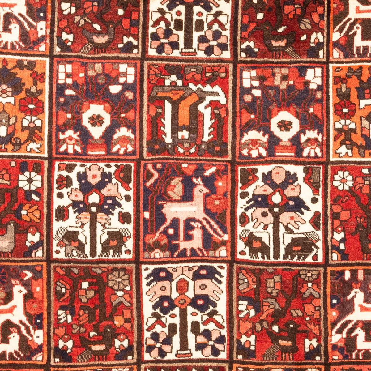 Persisk matta - Nomadic - 307 x 205 cm - flerfärgad