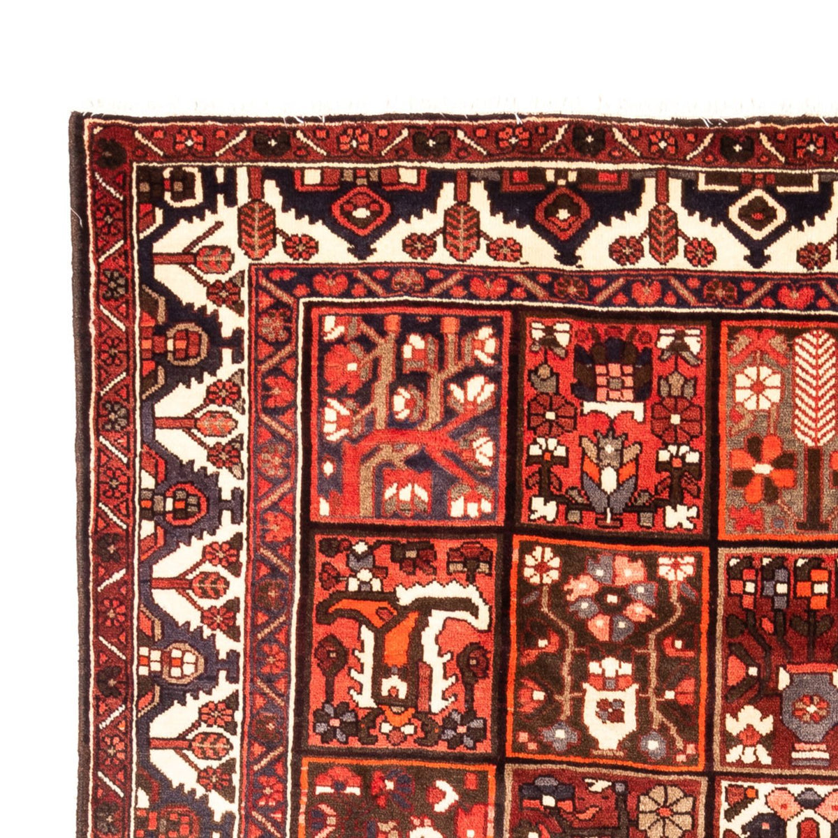 Persisk matta - Nomadic - 307 x 205 cm - flerfärgad