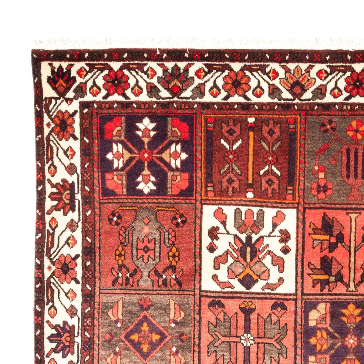 Persisk matta - Nomadic - 294 x 210 cm - flerfärgad