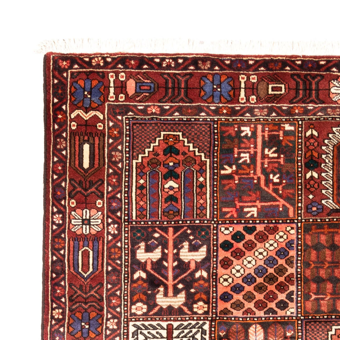 Bakhtiari Mattan 310x208cm - Persisk matta