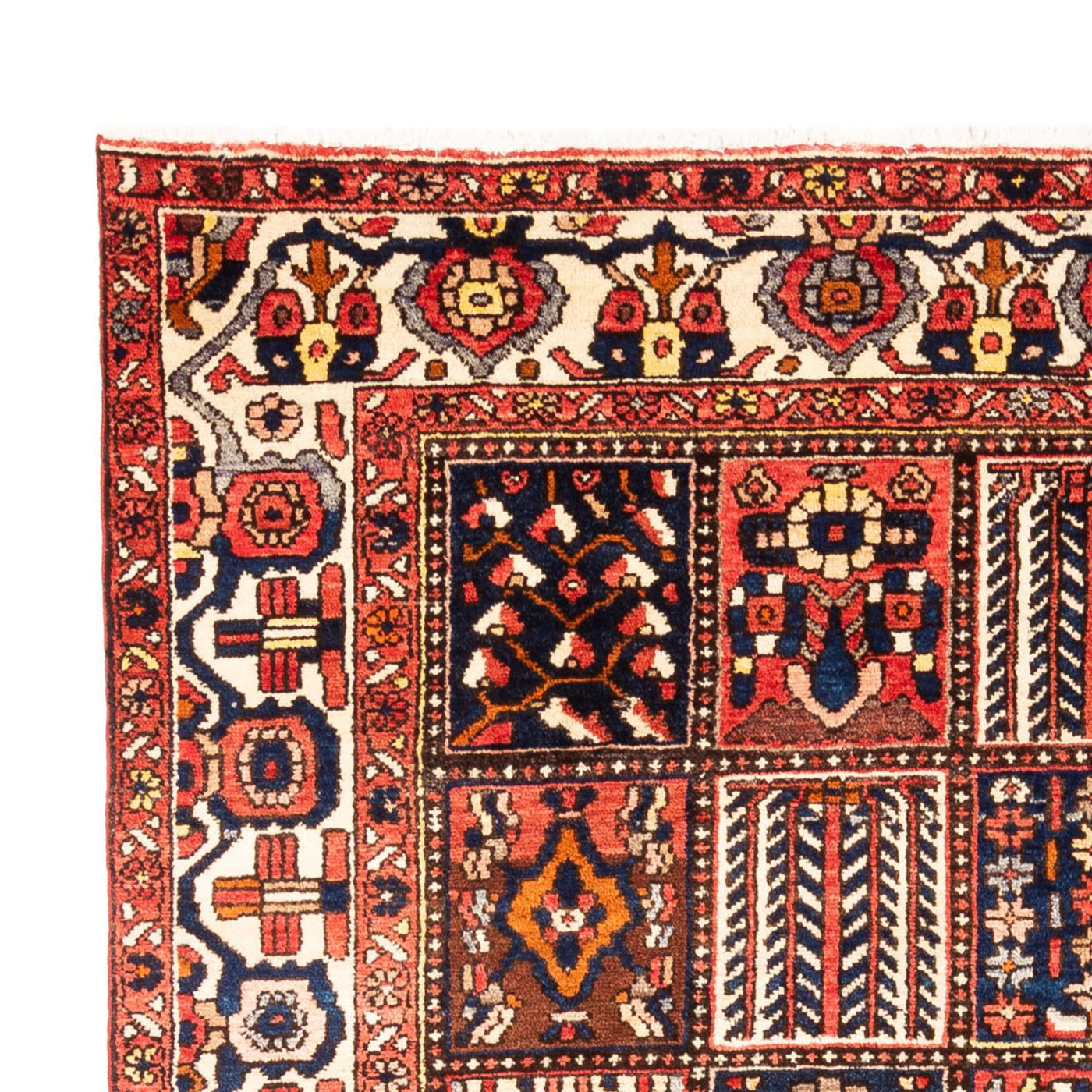 Persisk matta - Nomadic - 295 x 207 cm - flerfärgad