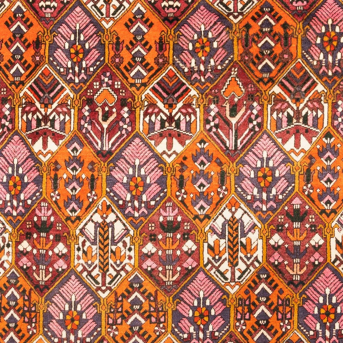 Persisk matta - Nomadic - 310 x 203 cm - flerfärgad