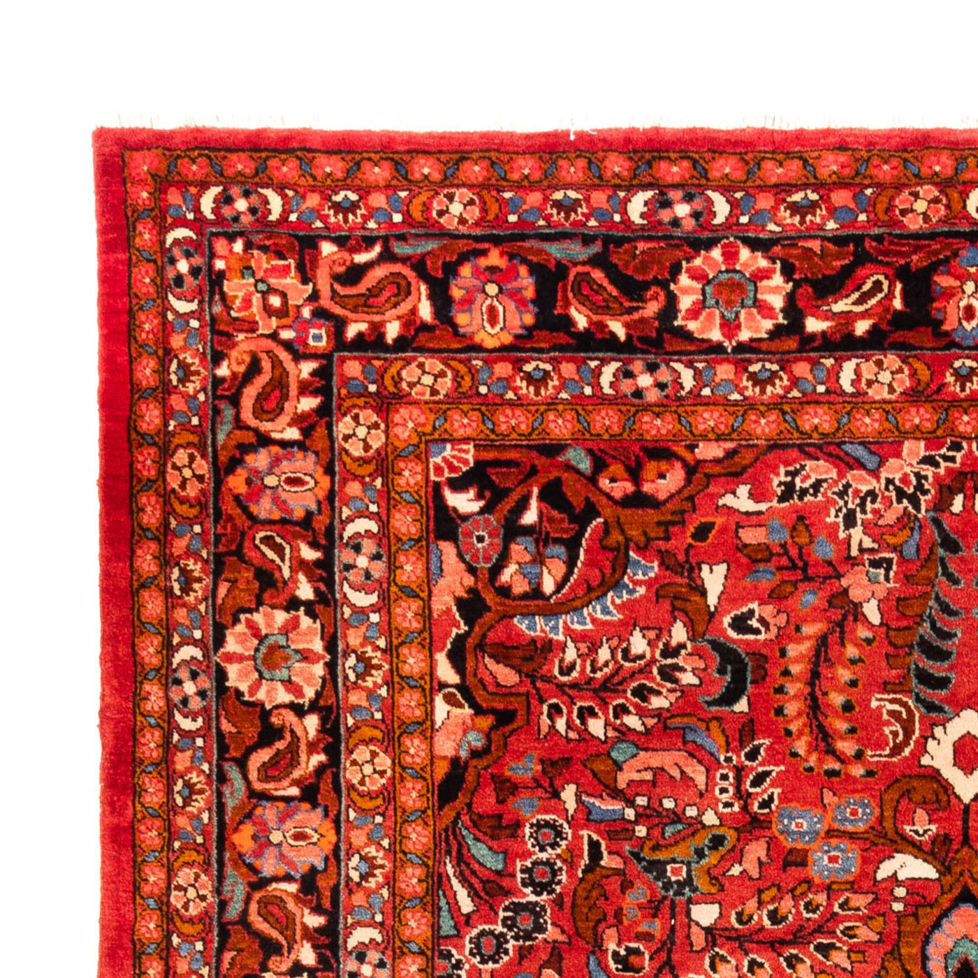 Lilian Mattan 340x227cm - Persisk matta