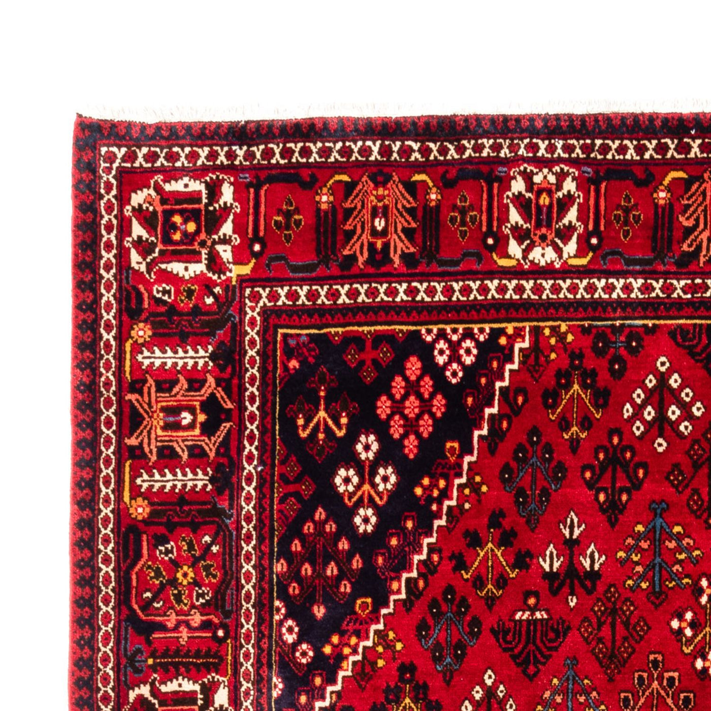 Meymeh Mattan 304x219cm - Persisk matta
