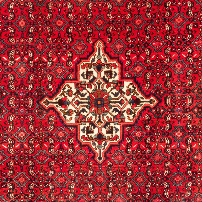 Persisk matta - Nomadic - 304 x 212 cm - röd