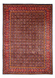 Malayer Mattan 321x240cm - Persisk matta