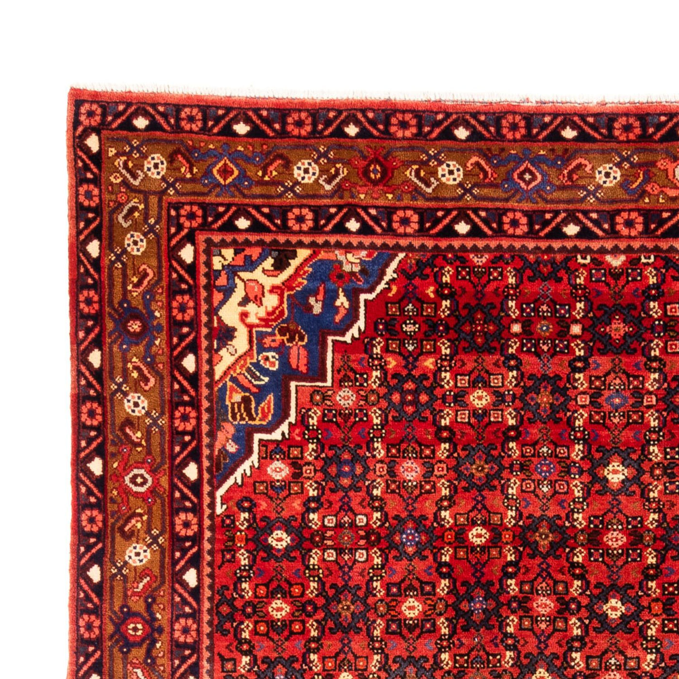 Hosseinabad Mattan 307x221cm - Persisk matta