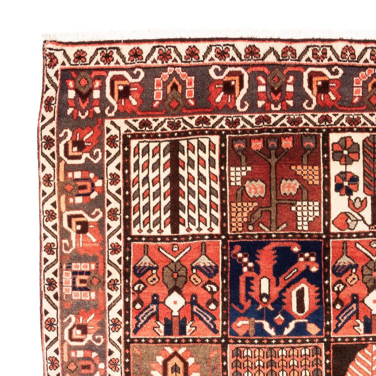 Persisk matta - Nomadic - 304 x 198 cm - flerfärgad