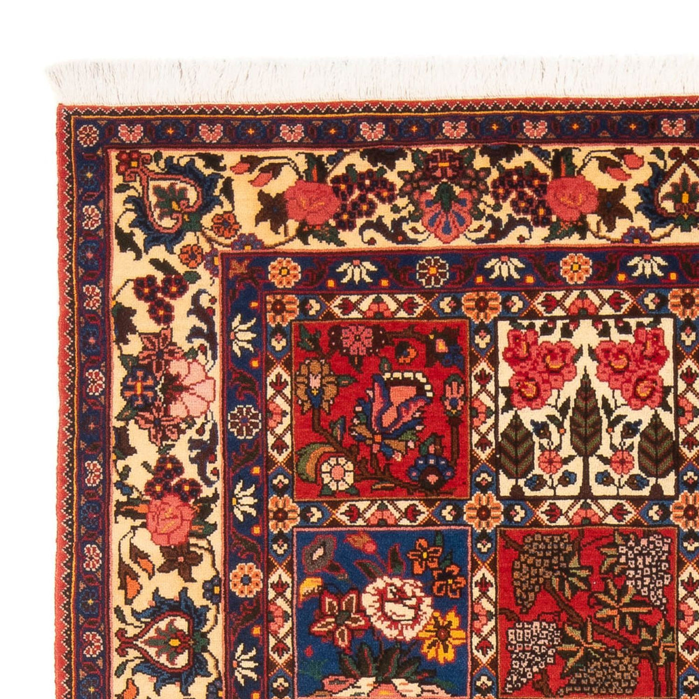 Bakhtiari Mattan 205x138cm - Persisk matta