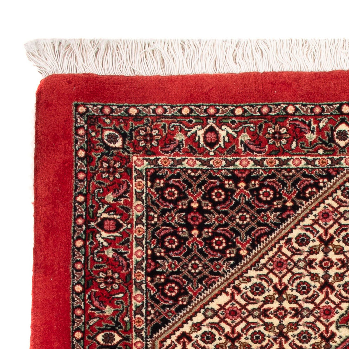 Persisk matta - Bijar - Royal - 90 x 77 cm - grädde