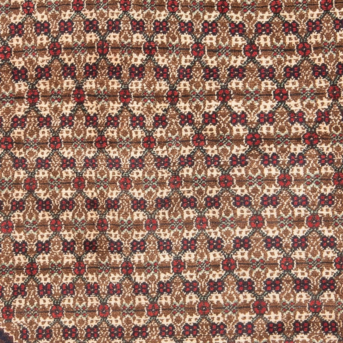 Persisk matta - Nomadic - Kungliga - 197 x 127 cm - grädde