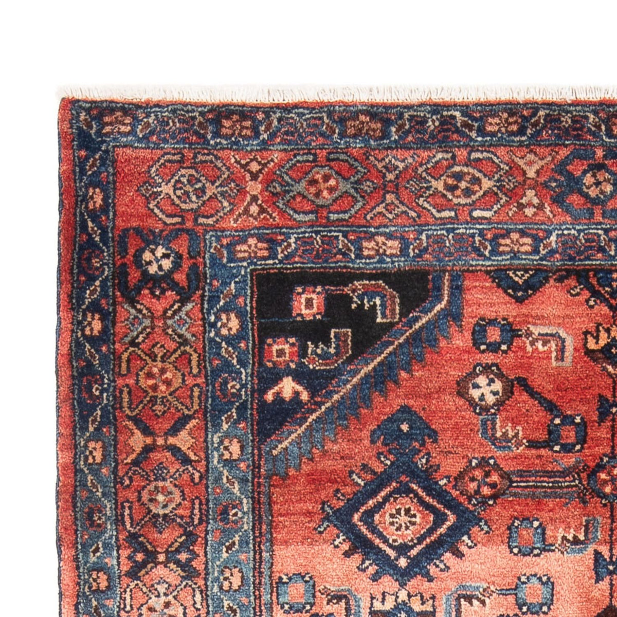 Persisk matta - Nomadic - Kungliga - 217 x 133 cm - orange