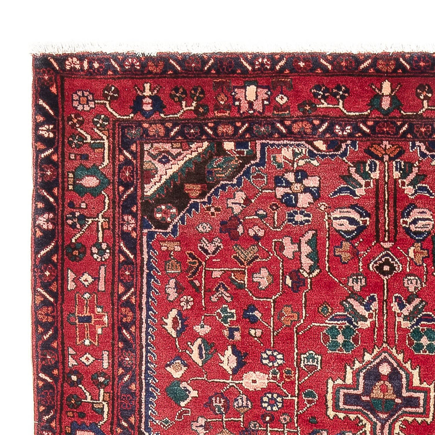 Kolyai Mattan 237x152cm - Persisk matta