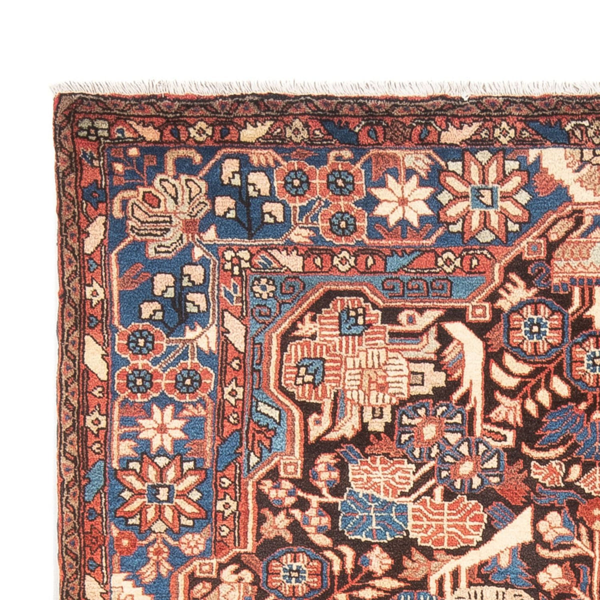 Persisk matta - Nomadic - 244 x 155 cm - ljusröd