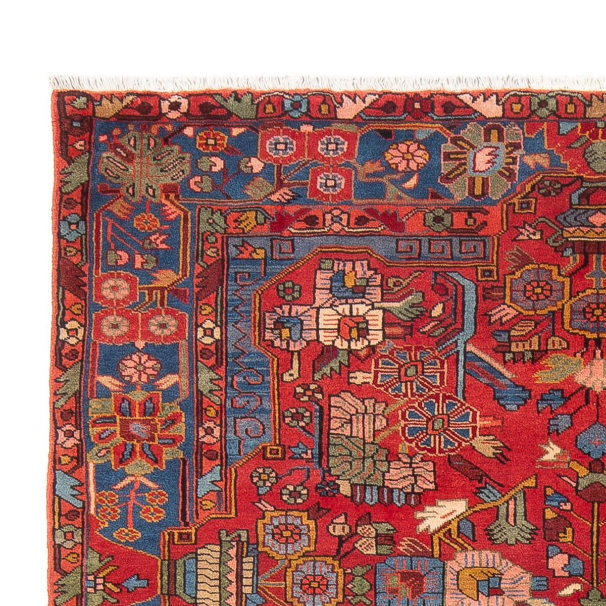 Nahavand Mattan 238x157cm - Persisk matta