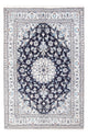 Nain Mattan 249x166cm - Persisk matta