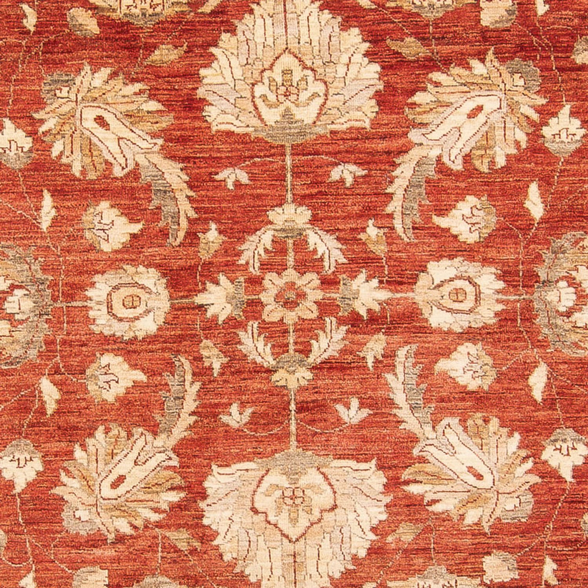 Ziegler Carpet - 367 x 271 cm - röd