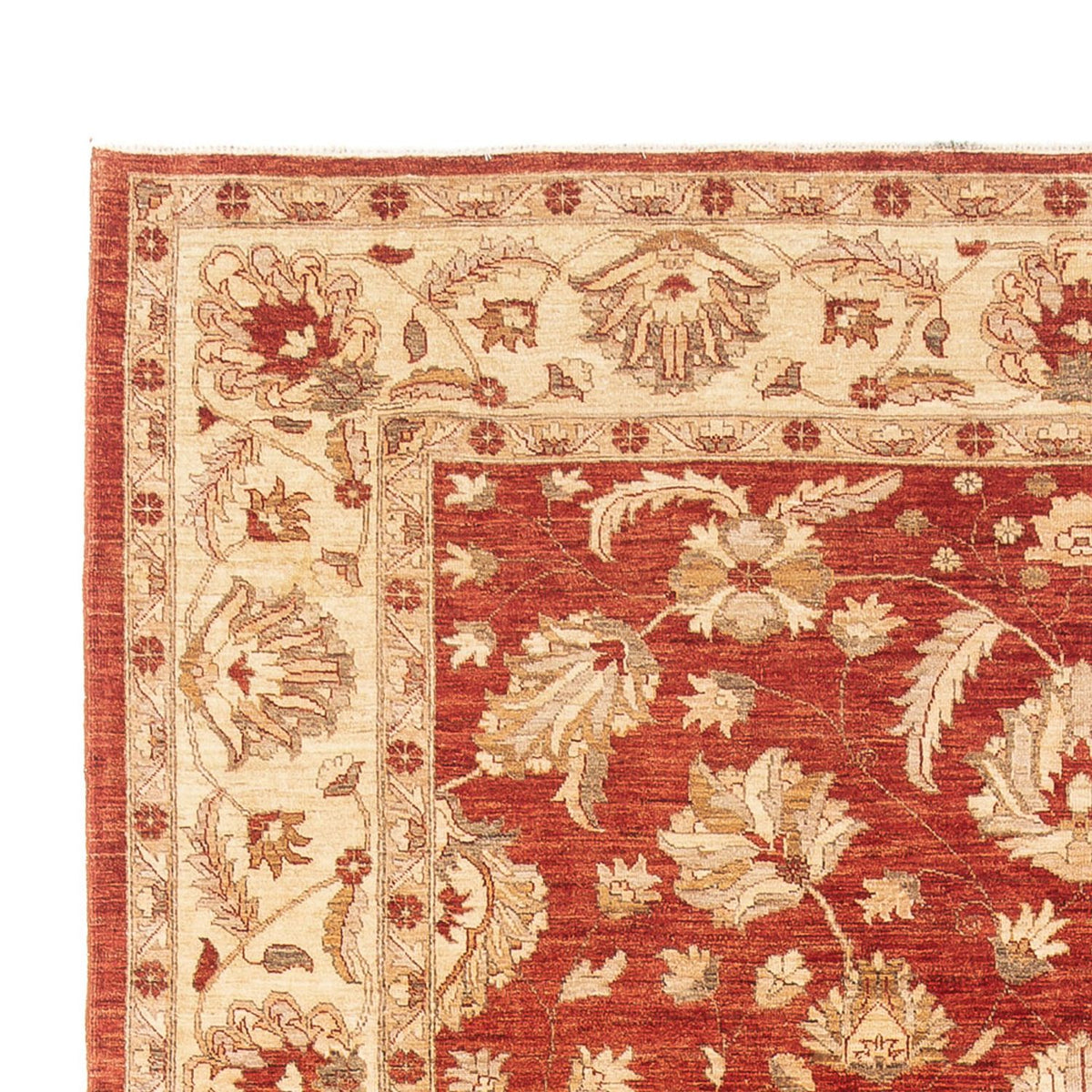Ziegler Carpet 271x367cm - Persisk matta
