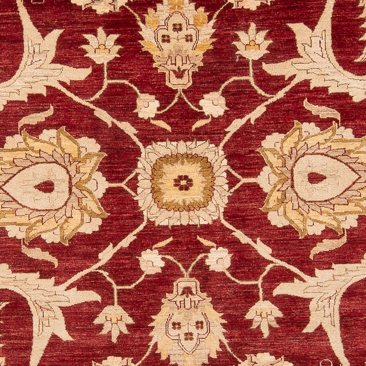 Ziegler Carpet - 371 x 298 cm - röd