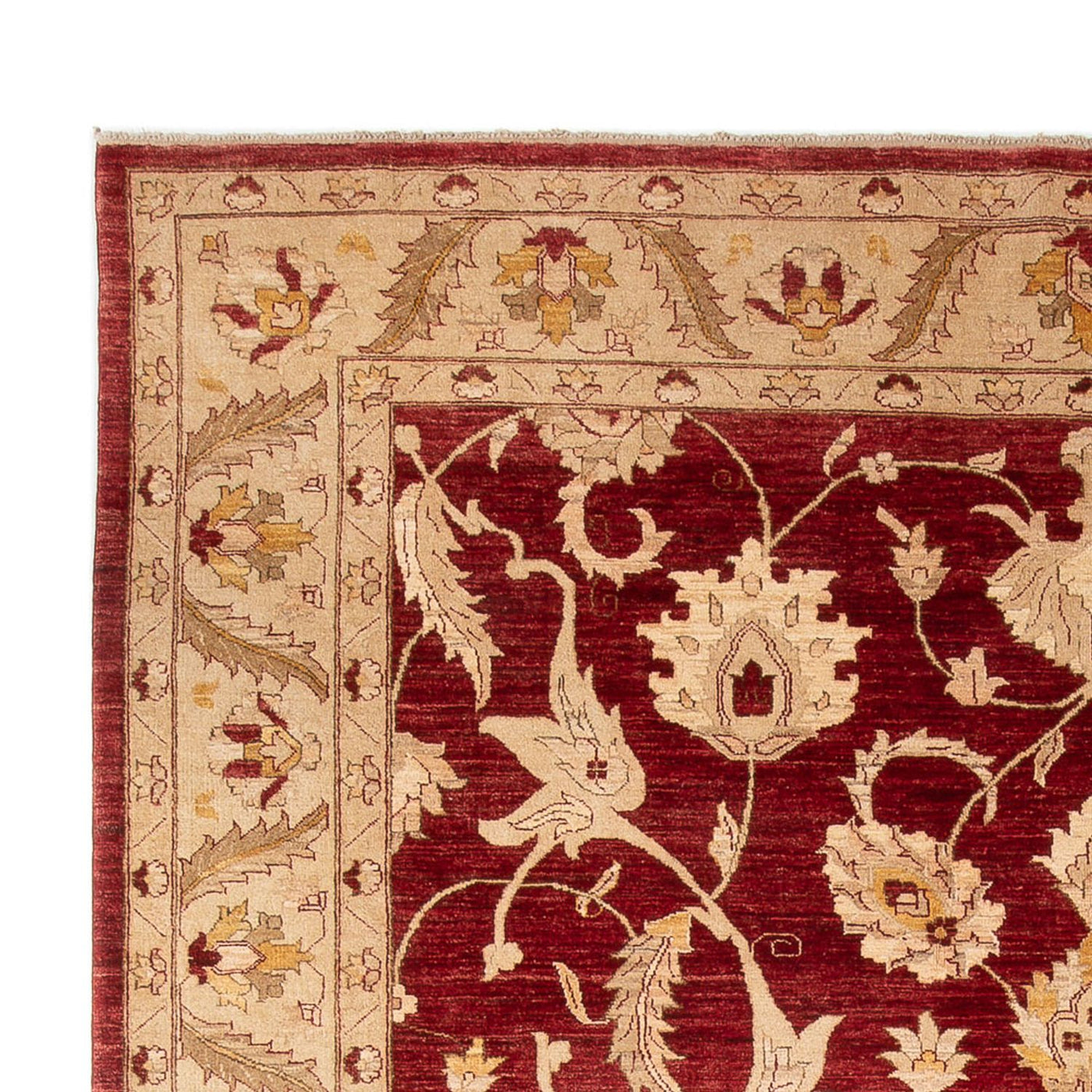 Ziegler Carpet 371x298cm - Persisk matta