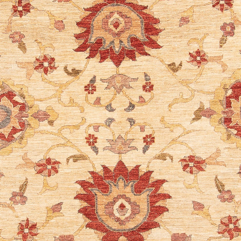 Ziegler Carpet - 347 x 282 cm - beige