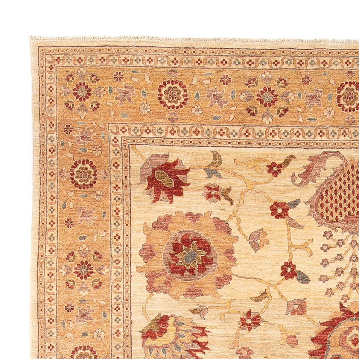 Ziegler Carpet 282x347cm - Persisk matta