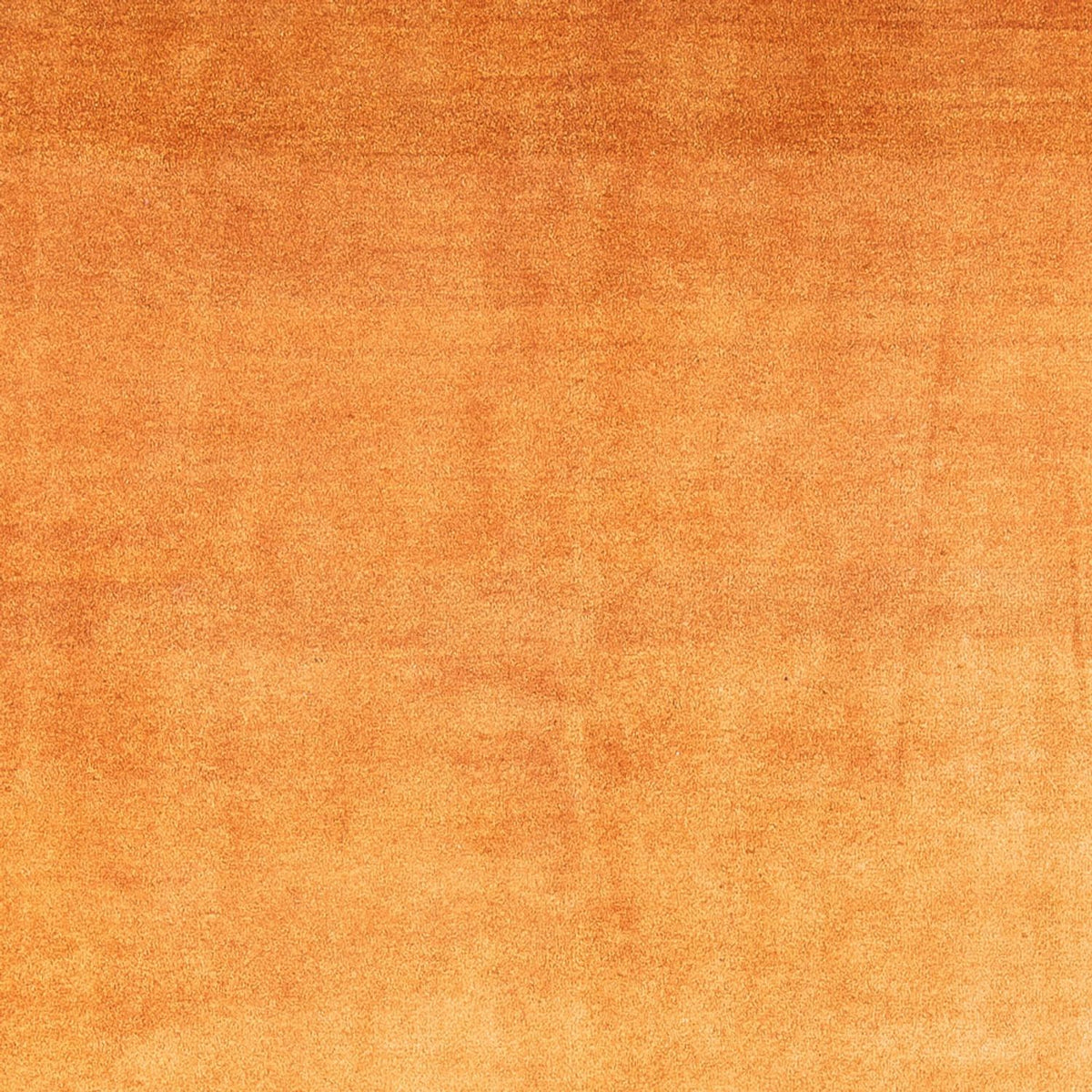 Gabbeh-matta - persisk - 286 x 225 cm - guld