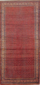 Mir Mattan 268x127cm - Persisk matta