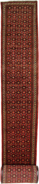 Hosseinabad Mattan 980x80cm - Persisk matta