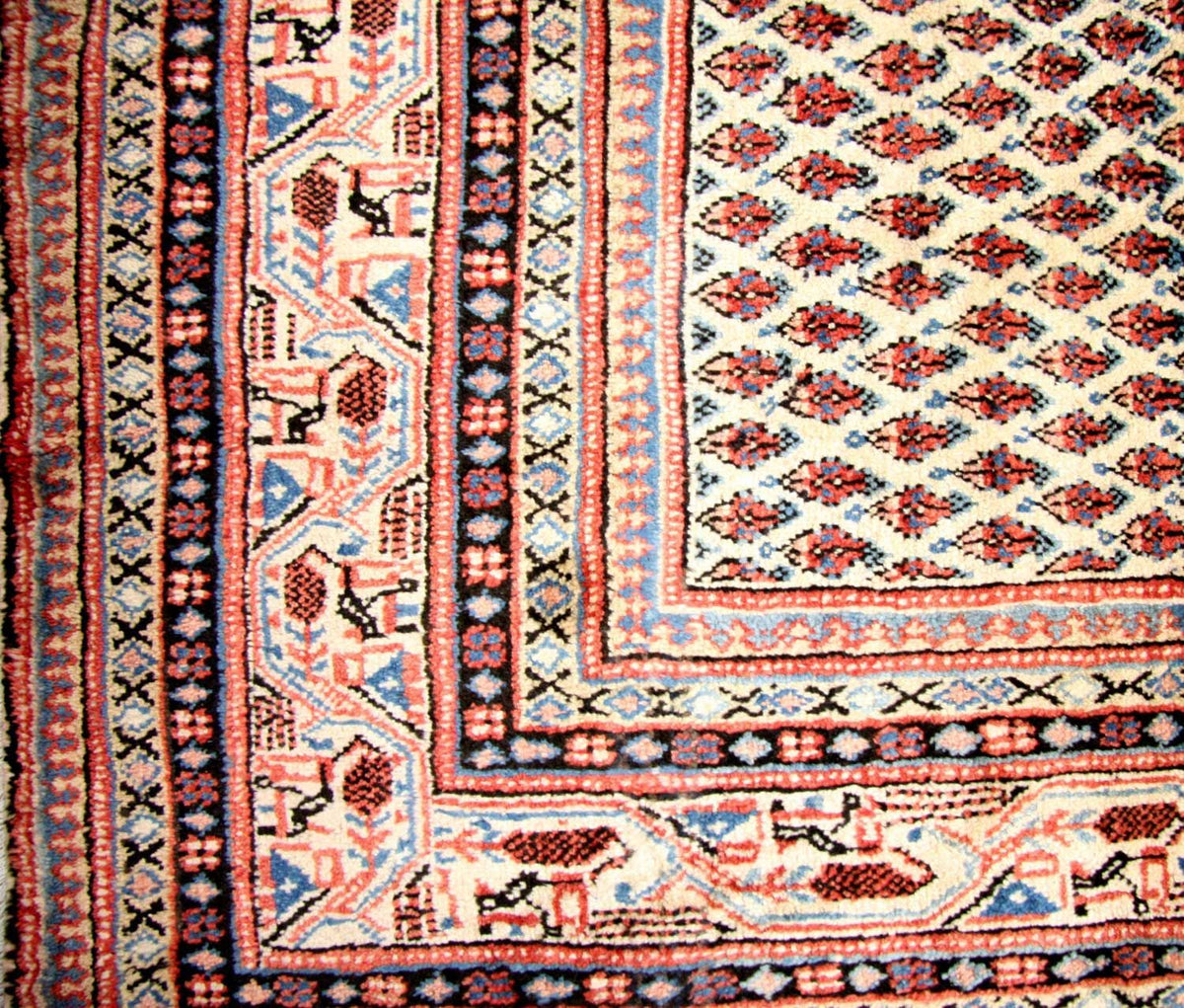 Persisk matta - Mir - 314 x 237 cm - beige